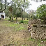 Molino De Gris Cazorla *
