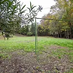 Molino De Gris Cazorla