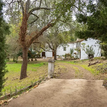 Molino De Gris Cazorla Holiday home *