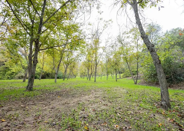 Hébergement de vacances Molino De Gris Cazorla
